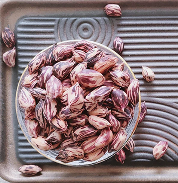 2021 fresh F1 hybrid High yield big colorful peanut seeds/Rich nutrition for planting