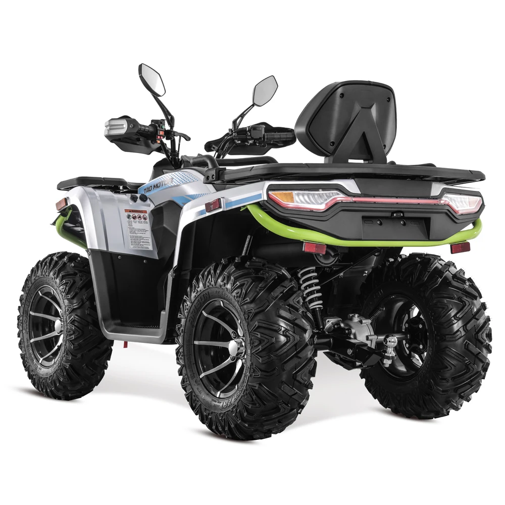 Tao Motor 2023 Quad Dune Buggy Adult Farm ATV 4x4 300cc ATV