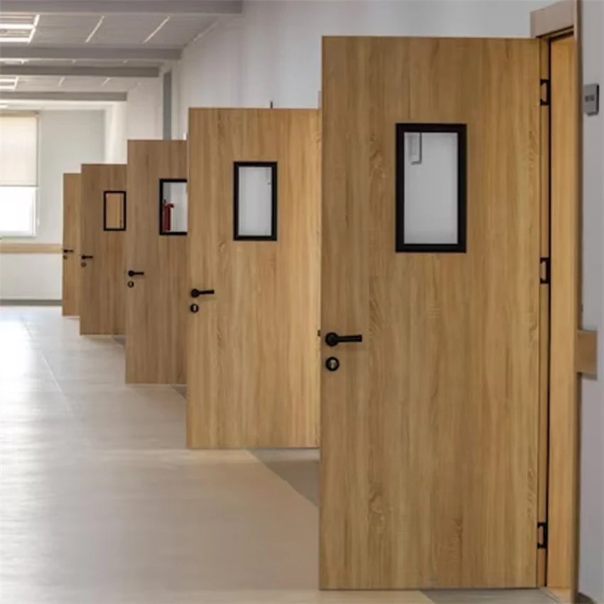 German high end wooden metal frame school doors with windows school classroom doors interior school double doors