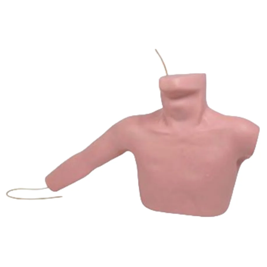 ADA Peripheral Puncture and Central Venous Puncture Cannulation Model and Neonatal Peripheral Central Venous Cannulation Model
