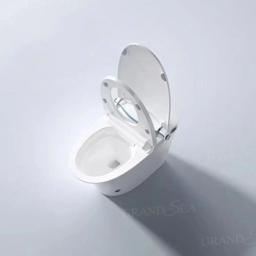 Hyundai Inodoro Oem New Product Sanitary Ware Bathroom Automatic Toilet Smart Bidet Toilet Smart Toilet