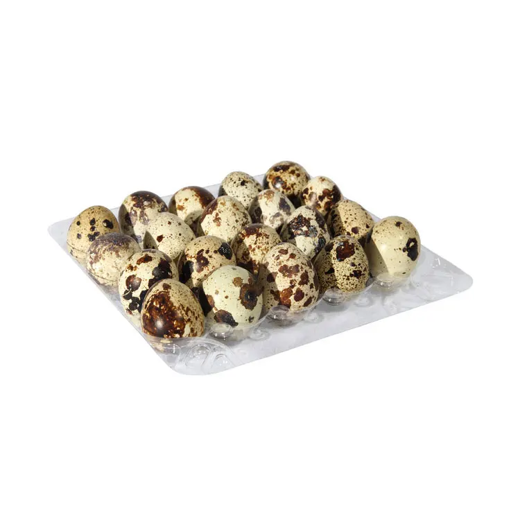 Custom Packs Clear Box Quail Egg Blister Plastic Cartons