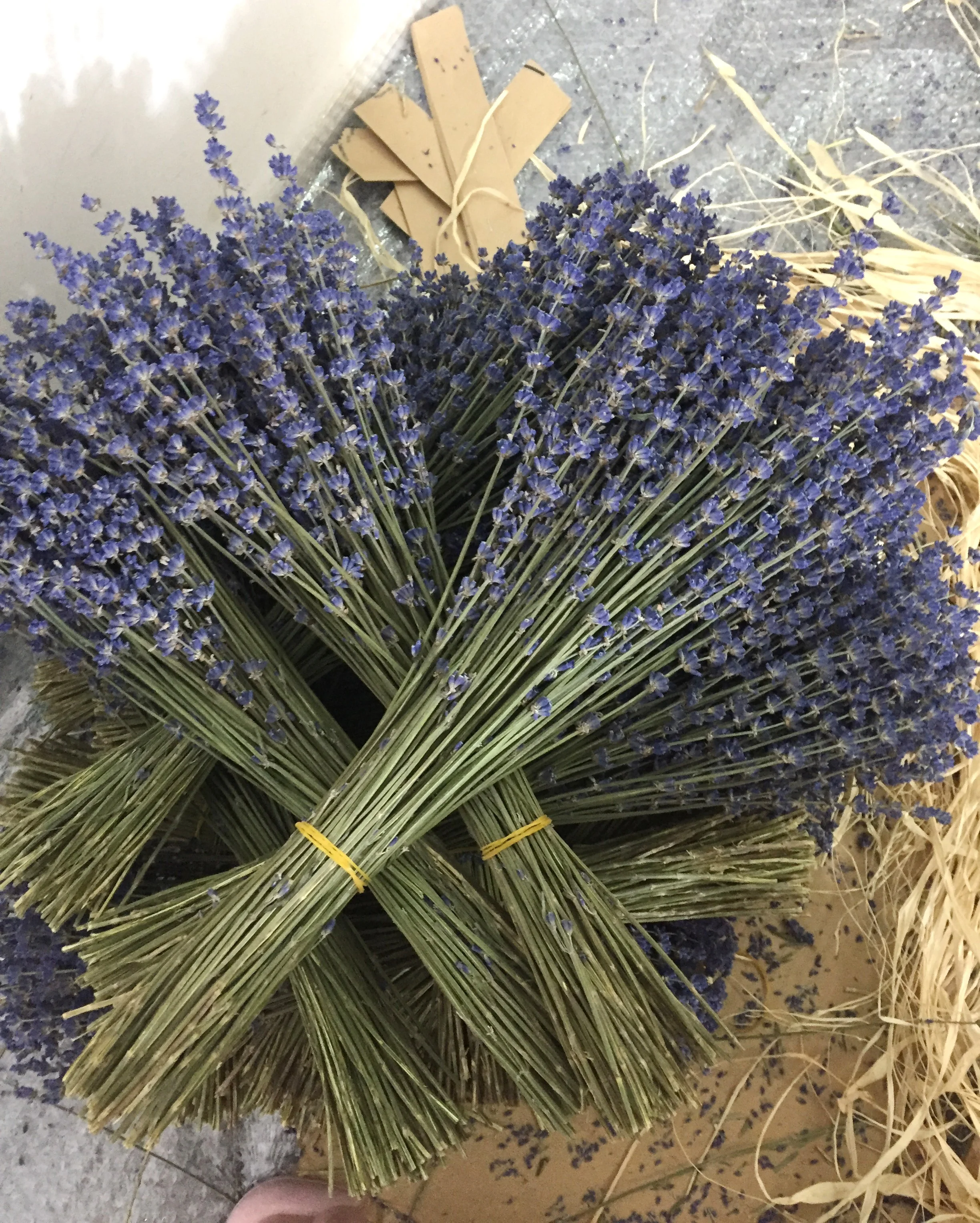 Оптовая продажа органических цветов лаванды