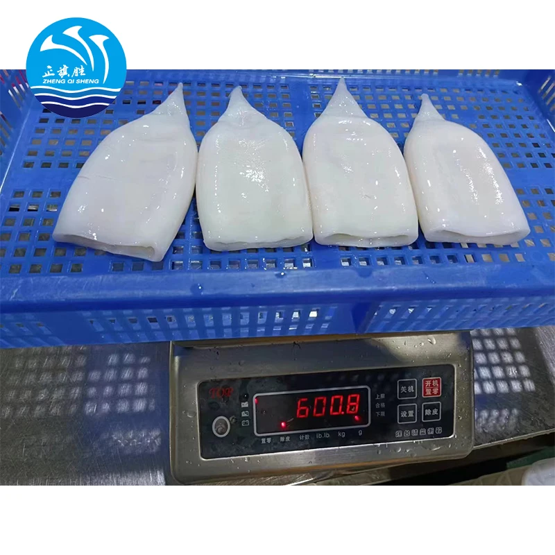 Clean frozen squid tube IQF squid frozen