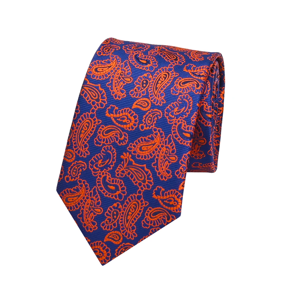 YiLi Jacquard Handsome Microfiber Polyester Woven Paisley Import Tie