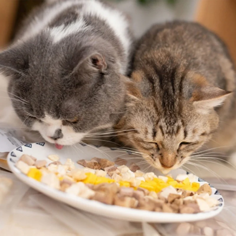 cute shape cat snacks cat grass treats for kitten China dried capelin shrimps