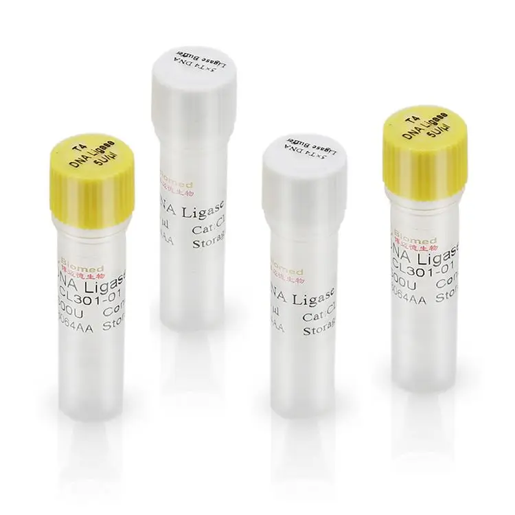 Профессиональная Высокоэффективная ДНК-лигаза T4