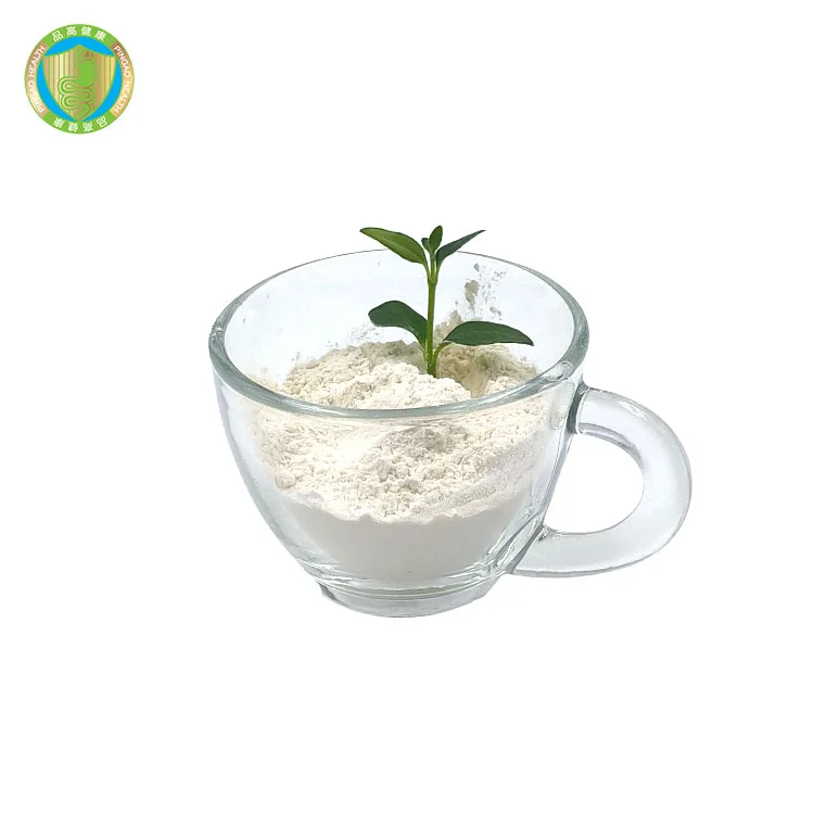 Wholesale Food grade Lactobacillus Bulgaricus 10 billion CFU/g  Bulk Probiotics  Powder