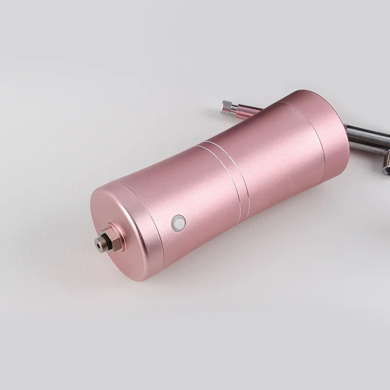 airbrush for body panting