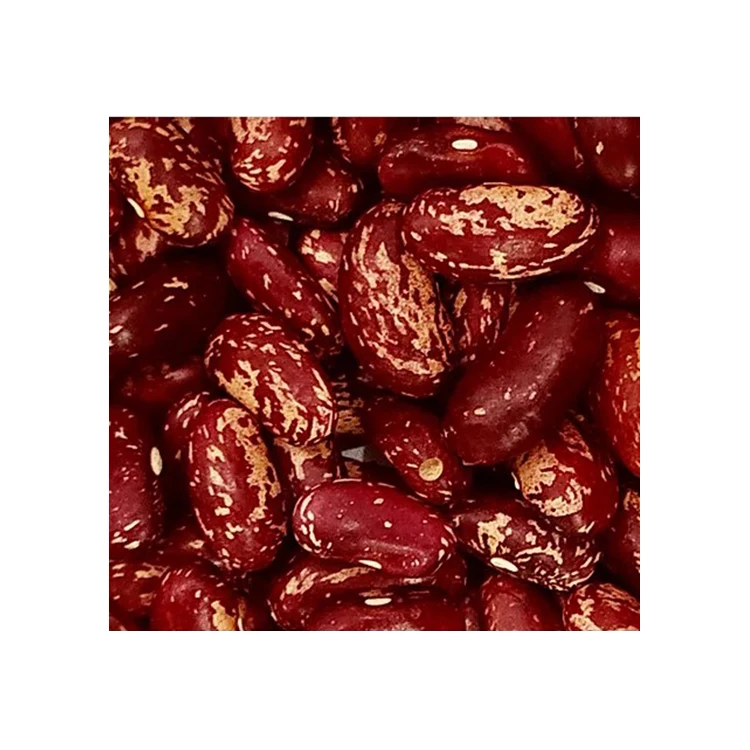 
Pure Natural Organic Red Beans Red Speckled Kidney Beans 
