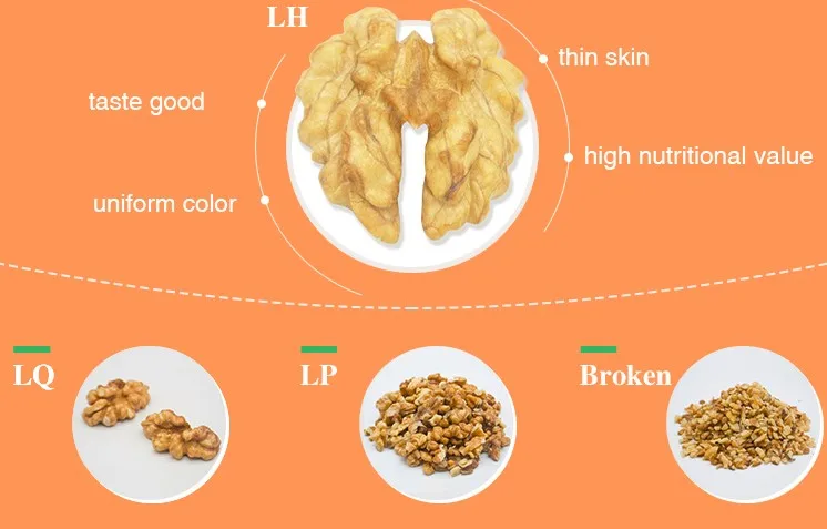 New Crop Fresh Peeled walnut kernels xin 2 thin walnut kernels from Xinjiang Organic walnut kernels