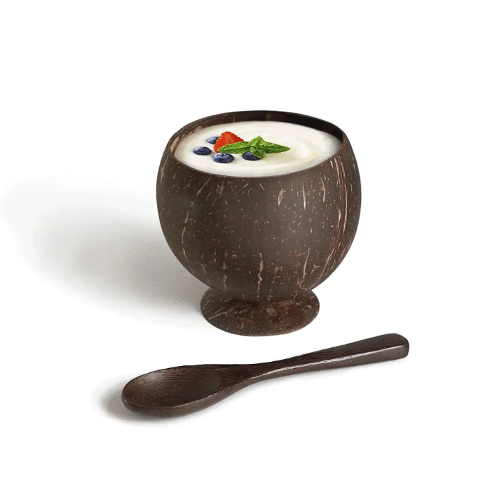 Custom Logo Wooden Bowls With Spoon Eco-friendly Natural Coconut Shell Bowl