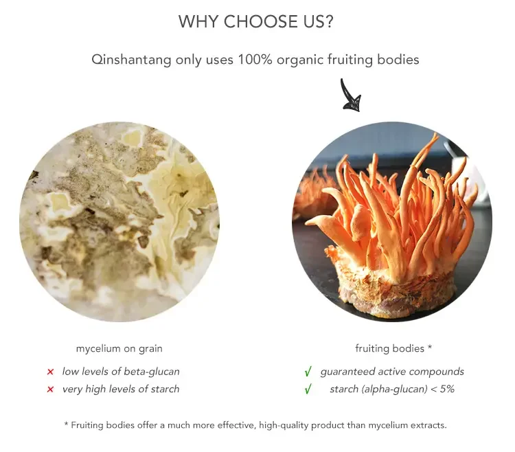 Cordyceps Militaris Extract Powder 0.3%cordycepin Quality Cordyceps Militaris Extract 3%cordycepin Chinese 1Kg Cordyceps Powder