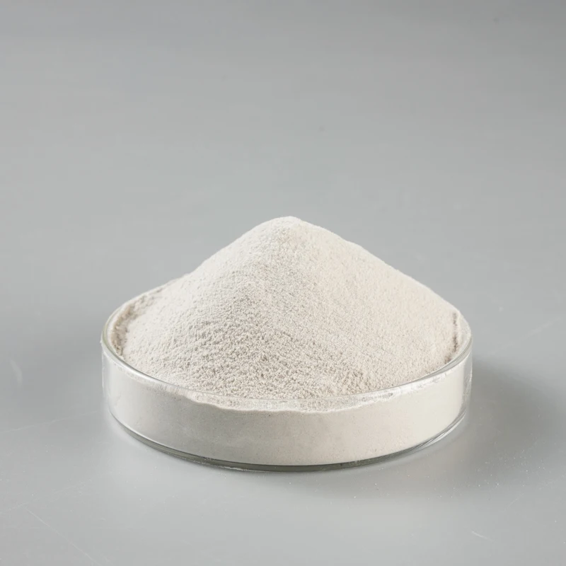 Factory Custom gypsum plaster retarder powder gypsum retarder powder retarder gypsum