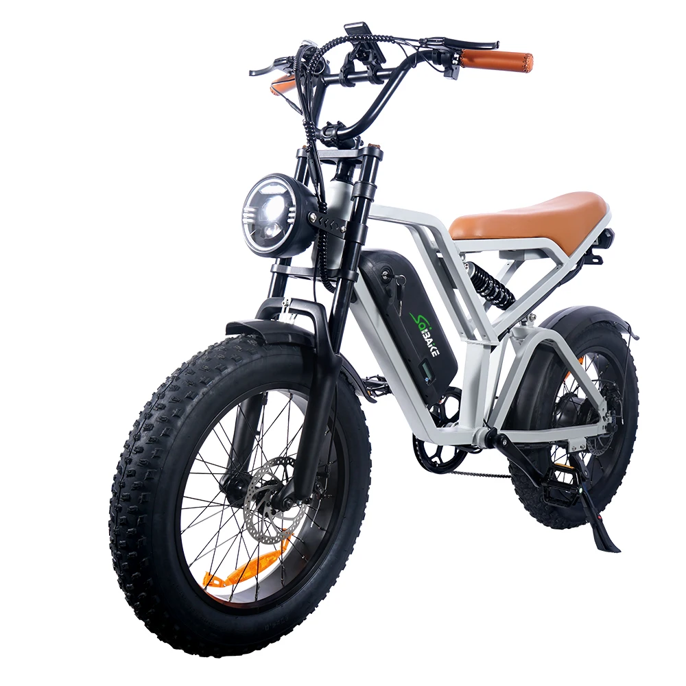 20inch Electric Bicycles 250Watt Ebike Fat Tyre E-Bikes Elektrisch Fatbike Electric Bikes 1000W E-bike 48V Fat Bikes For Sale