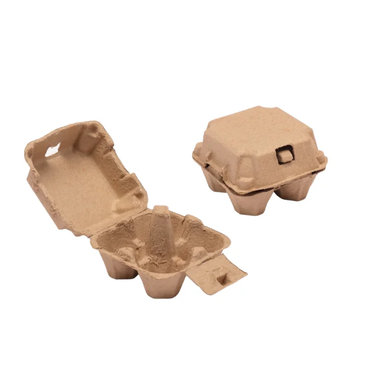 Custom Egg Packing Box Good Quality Storage Container Customized Service Tuv Certification Packing In Box Vietnamese Supplier