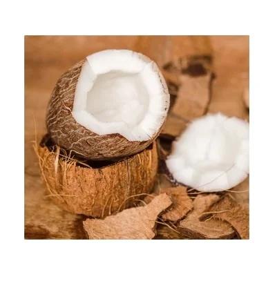 Old Coconut Dehusked Organic Fresh Mature-Dry mature old coconuts-high quality coconut from Vietnam