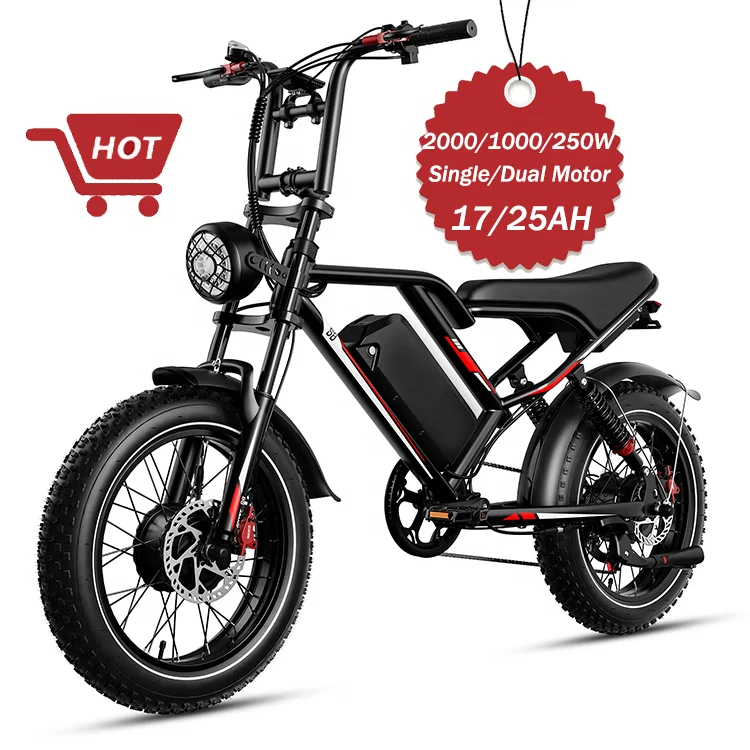 Long Range Electric Bicycle with Dual Single Rear Hub Motor 250W Popular Bike 2000W Bicycle Electric