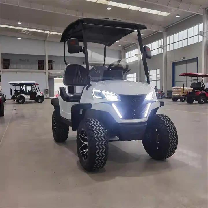 Electric Off-road Hunting Buggy 2 Seater Golf Cart Customized Travel Electric Grocery Cart Electric Scooters Sale Off Price 7-9h