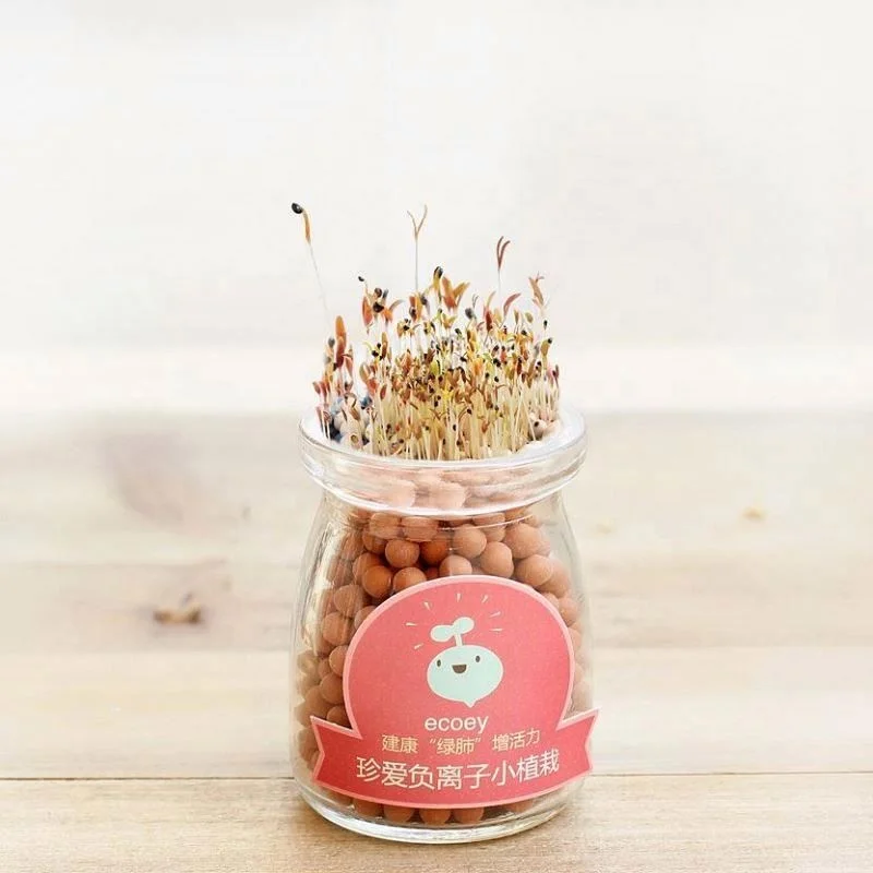 
Creative Negative ion potted plants Hydroponic pottery pot 