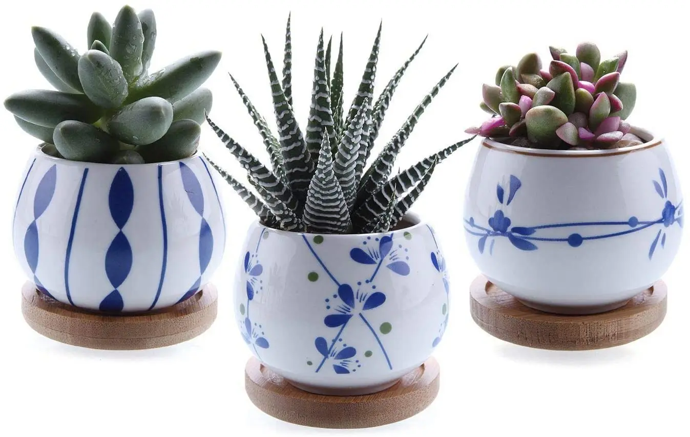 2.5 Inch Ceramic Succulent Planter Pot with Bamboo Saucer Set of 3 Cactus Flower Pot Gift for Mom Sister Aunt Home Office Decor