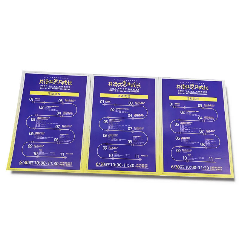 Good Quality Custom Paper Flyer Print Instruction Manual Print Advertise Flyer Printing