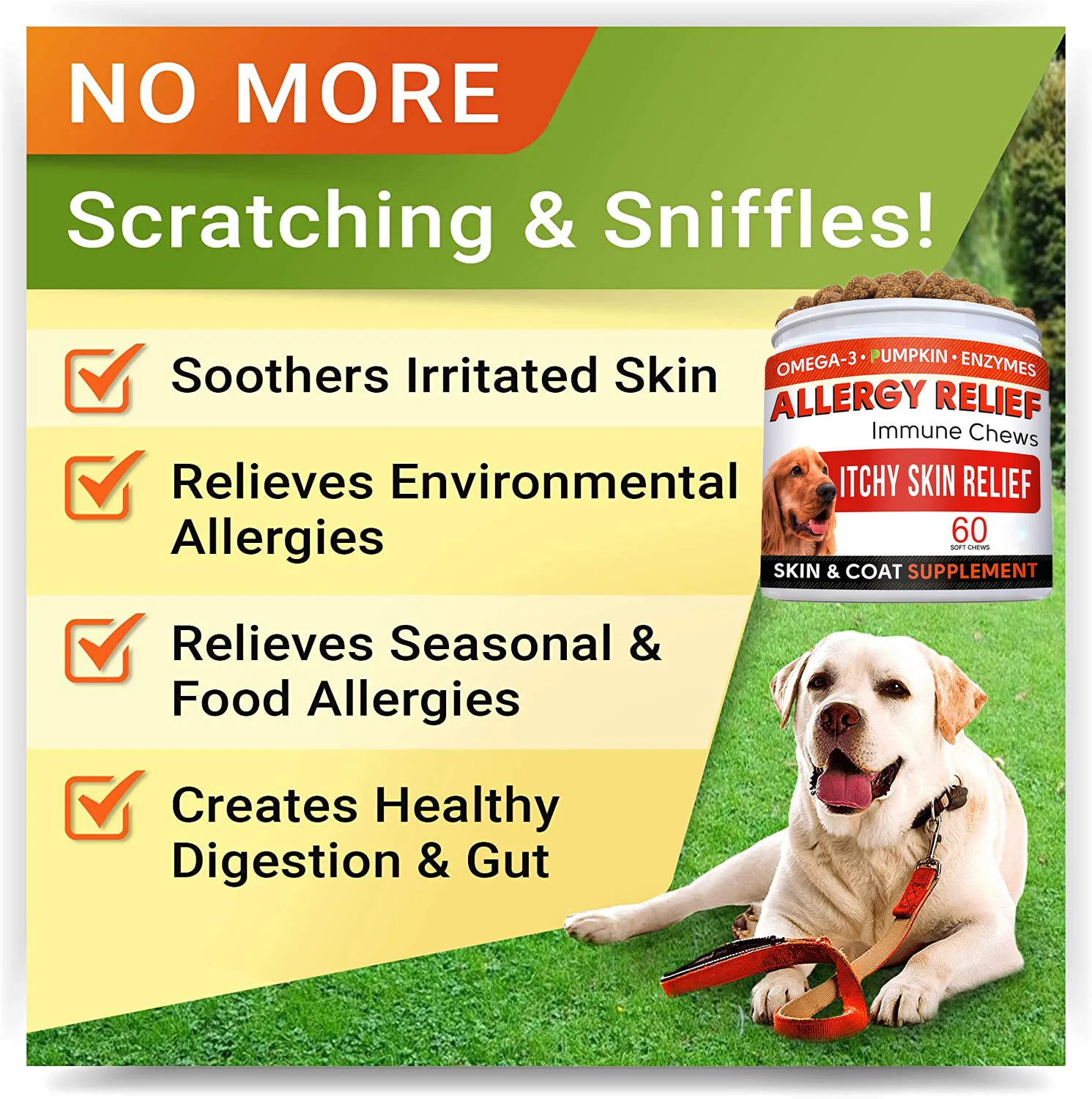 Natural Turmeric Pumpkin Enzymes Omega 3 Chicken Flavor Pets Softs Dogs Chews Immune & Digestive Supplement