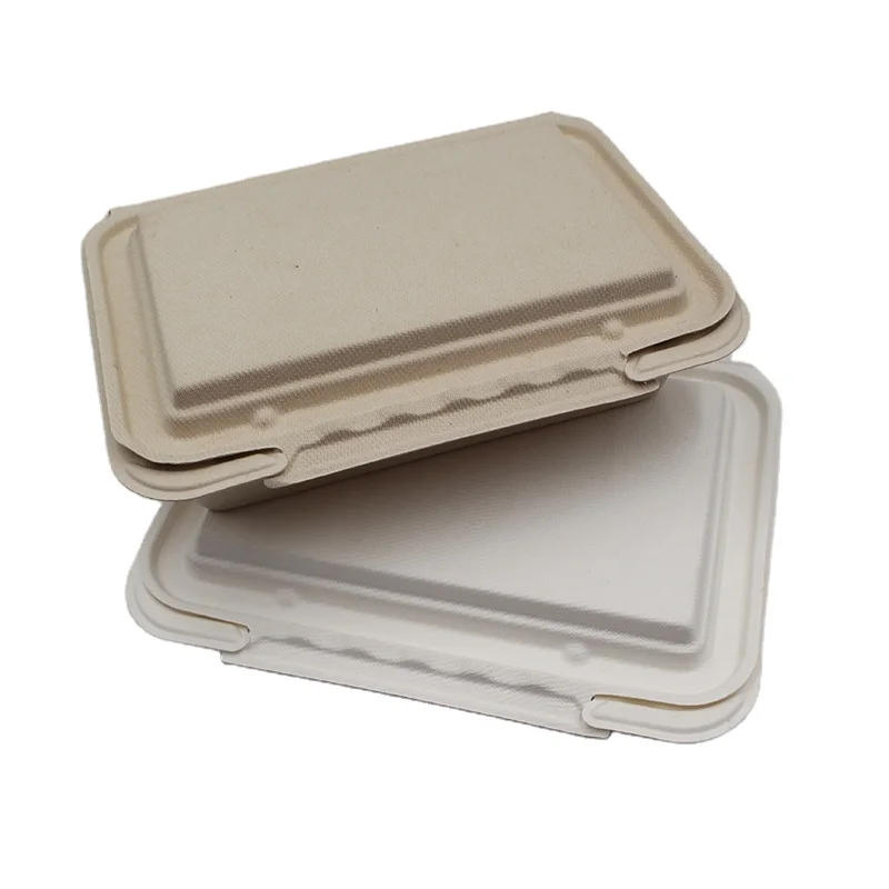  Sugarcane Bagasse Clam Shell пищевые контейнеры 1 отсек Ланч-бокс с