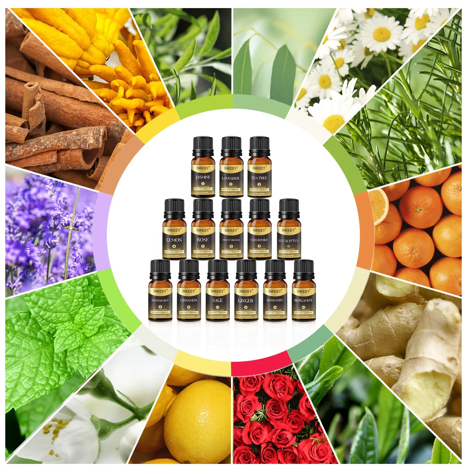 High Quality Wholesale 10ml Perfume Ginger Pure Essential Oil