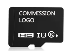 Mini BT Music Player Amplifier Portable Karaoke Speaker with Wireless handheld Microphone