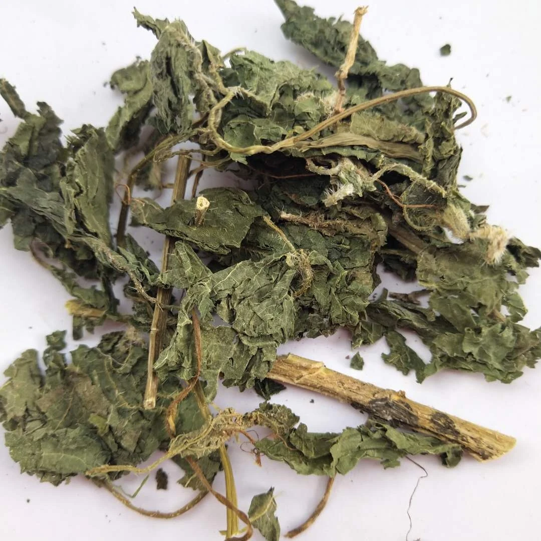 OEM Packing Natural Dried Nettle Leaf Tea In Stock Dry Nettle Leaf Herb Tea Private Label Dried Stinging Nettle Leaves