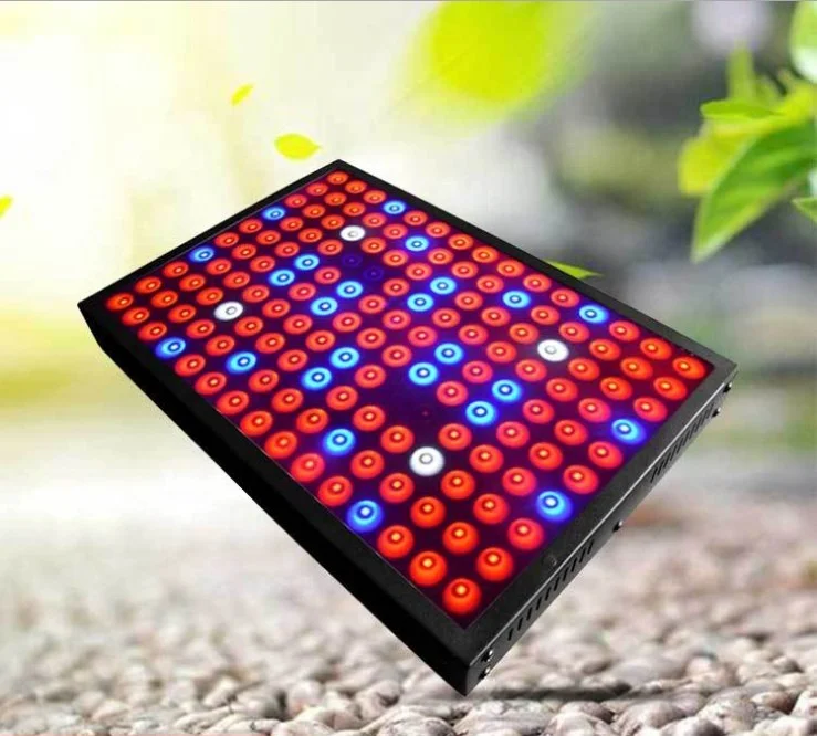 Factory direct supply new led plant growth light 600W full spectrum greenhouse