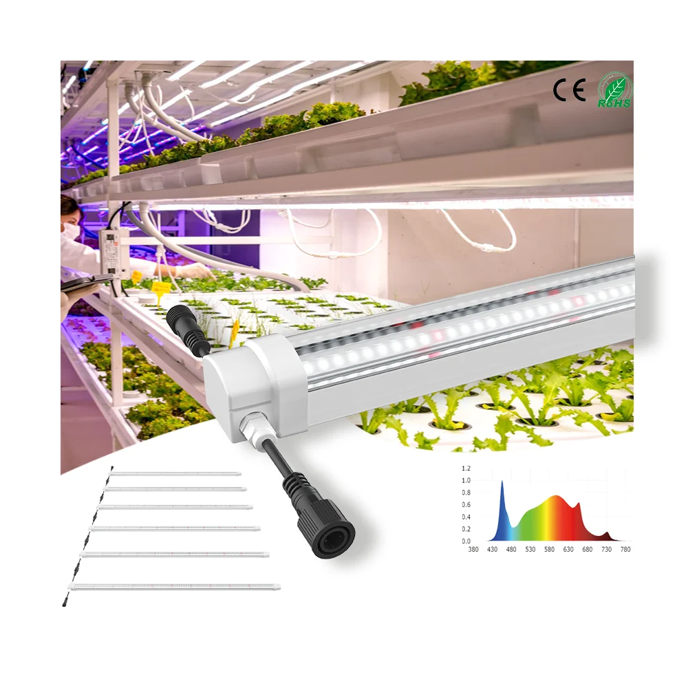 High quality LED Grow Light Waterproof Full Spectrum for Vertical Farm Greenhouse Plants Vegetables Fruits Plants Growth Harvest