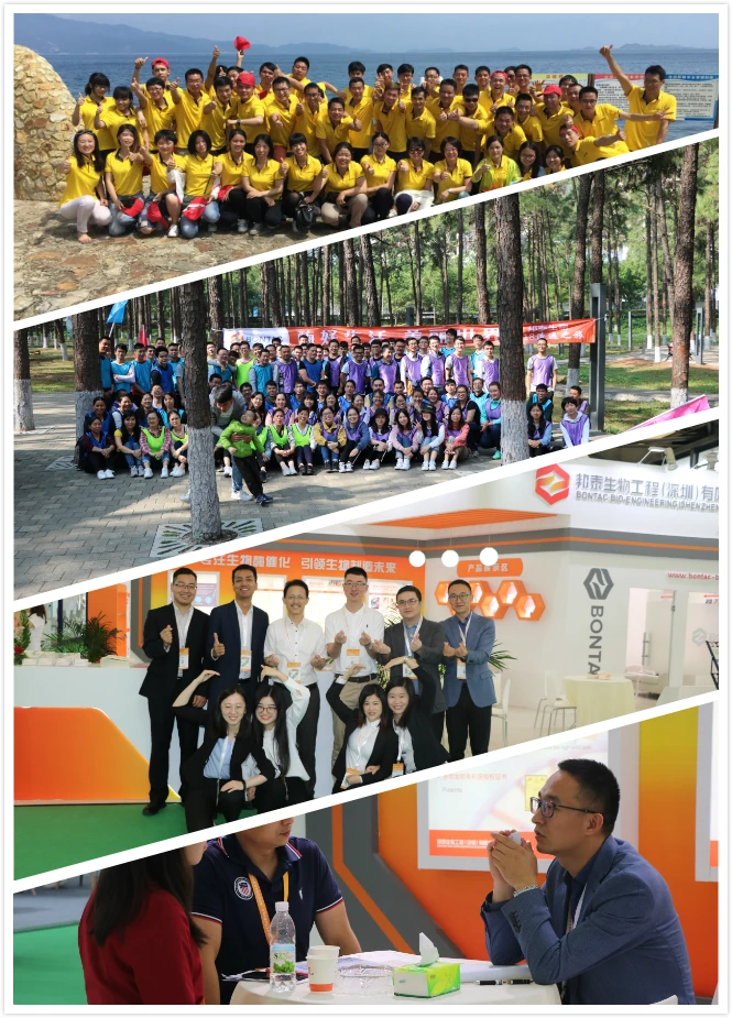 
NAD 98% Purity CAS#53-84-9 Nicotinamide Riboside related NAD 