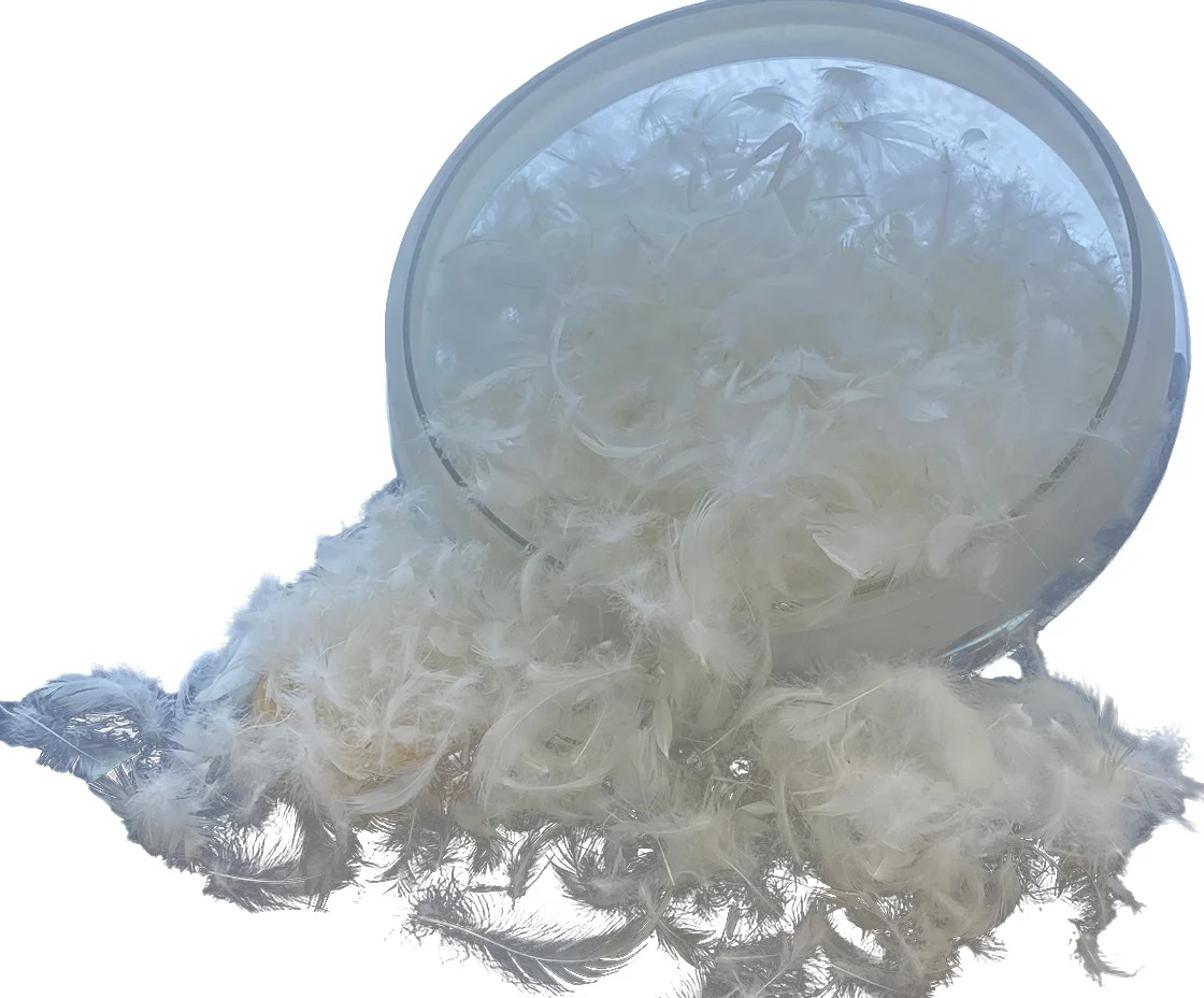 90% white duck hair slices cleaned by multi-channel washing process sell well wholesale