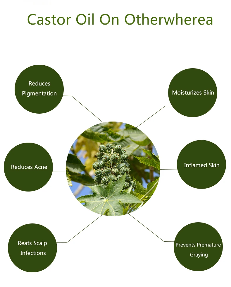 OEM 100% pure MSDS Private Label Cold Pressed Castor Oil Organic