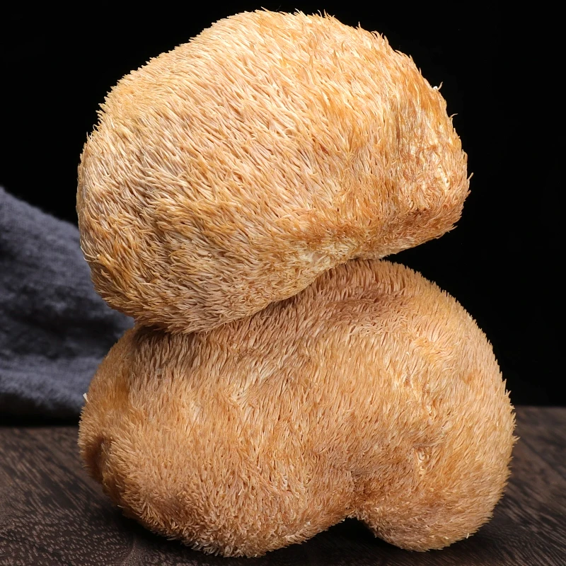 Еда вкусные Львы грива гриба гриб добавка Порошок Лев грибы и