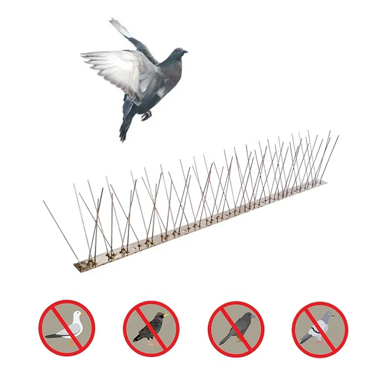 Stainless Steel Bird Spikes Outdoor And Home Anti Bird Trap/Anti Bird Spike