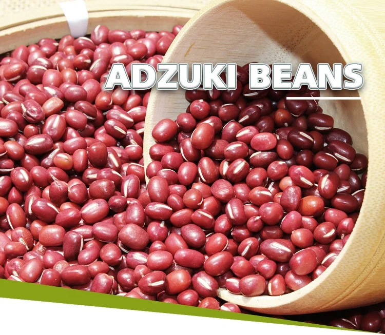 Chinese Small Red Beans adzuki beans azuki bean for sale