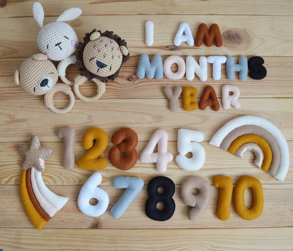 Felt Baby Milestone Numbers Months and Weeks Photo Prop Countdown Number Baby Milestone tracker