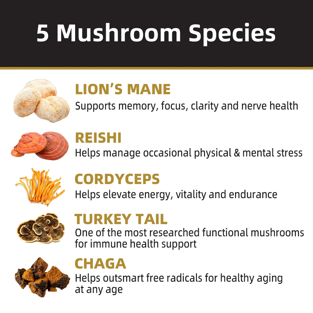Private Label Mushroom Instant Latte K Cup Coffee Lions Mane Mushroom Coffee Black Mushroom Extract Powder Coffee