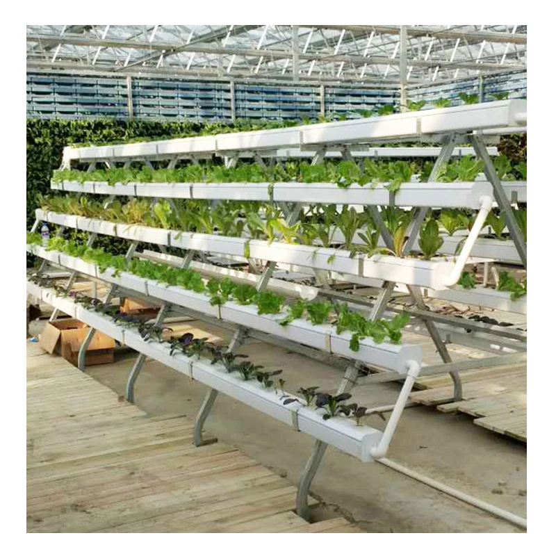 Agriculture NFT lettuce hydroponic growing systems Aeroponics  vertical for greenhouse farm