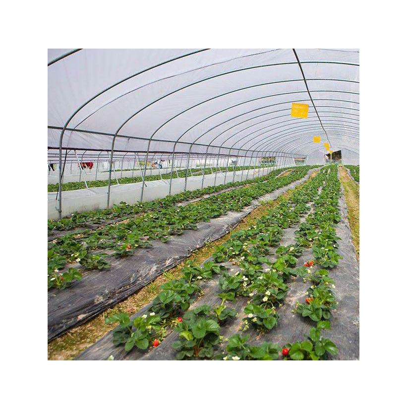 
200 micron reinforced woven pe double layer plastic greenhouse clear film 