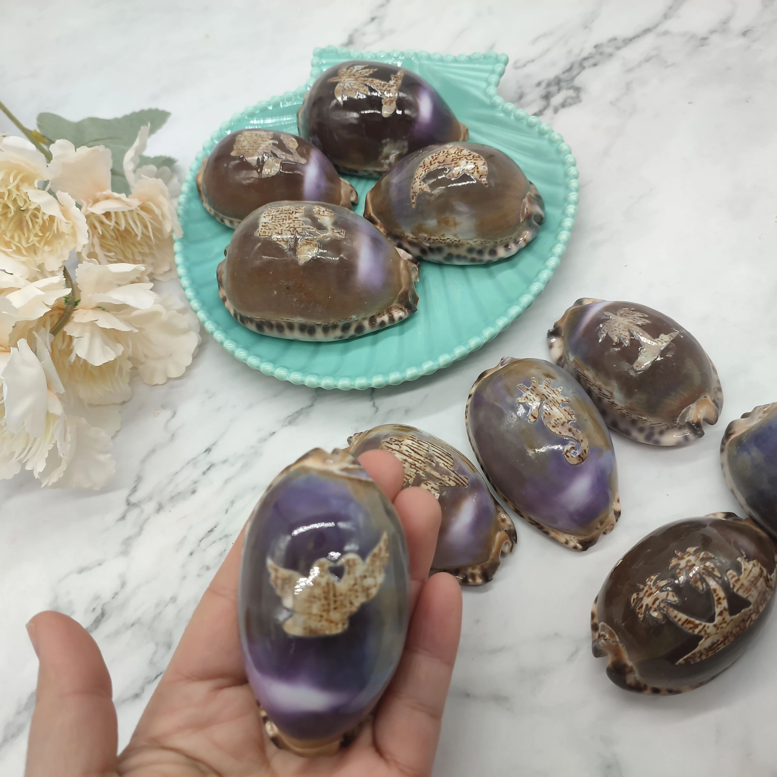 Natural Large Cowrie Seashell With Ocean Style Carving