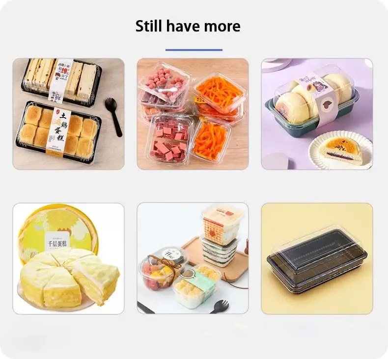 tasty cake  Packaging Box factory cost Cut Piece White Pastry Baking