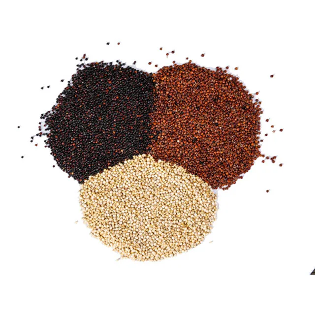 Factory Price Bulk Sale Good Quality Best Quality Quinoa Tricolour Mix Seeds For Wholesale Purchase
