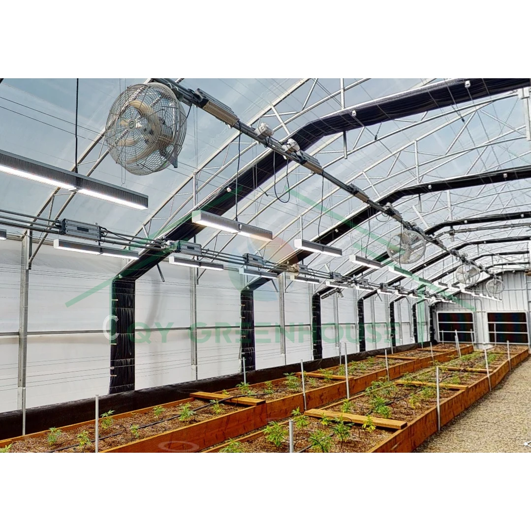 32m*24m Multi-Span Film Light Deprivation Greenhouse Blackout Greenhouse