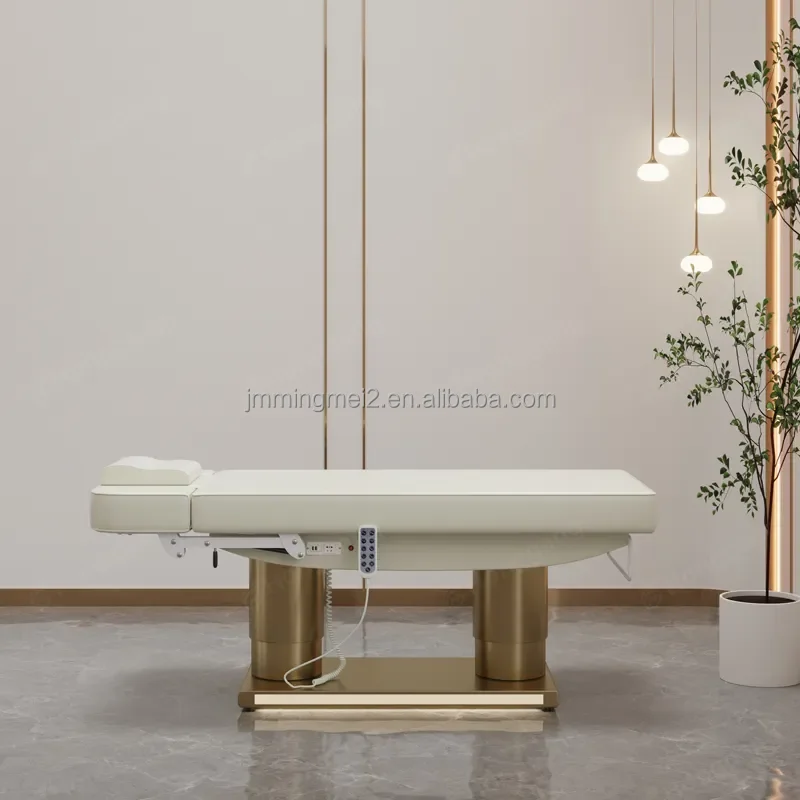 High Quality Professional  Massage SPA Table electric adjustable height  esthetician bed beauty bed