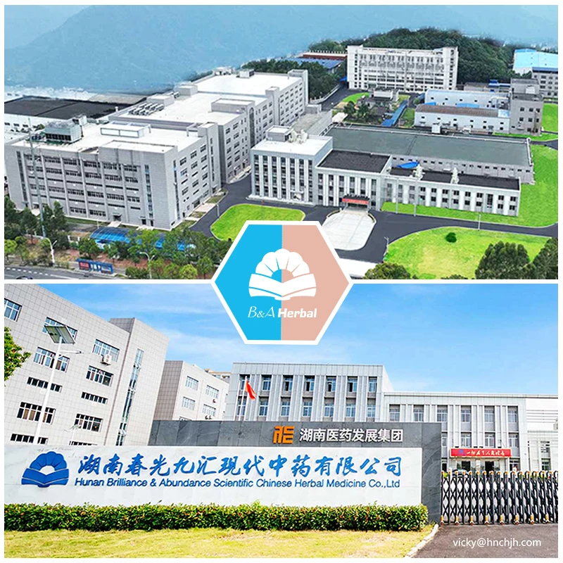 Chinese Herbal Medicine Atractylodes Plant Extract Solid Beverage  For Immunity.