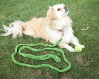 Custom dog leash double Adjustable dog Training Leash Running With Fleecing Handle